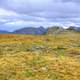 Overview of the Tundra Landscape at Rocky Mountains National Park, Colorado