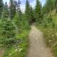 Path of the Mountain at Rocky Mountains National Park, Colorado