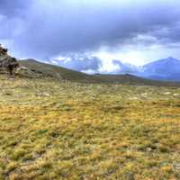 The high alpine tunda at Rocky Mountains National Park, Colorado