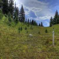 The way up at Rocky Mountains National Park, Colorado