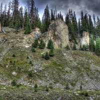 Trees on the slopes at Rocky Mountains National Park, Colorado