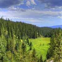 View of the Valley at Rocky Mountains National Park, Colorado