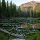 Dream Lake landscape