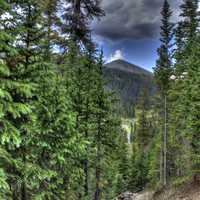 Peak Between the Trees at Rocky Mountains National Park, Colorado