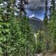 Peak Between the Trees at Rocky Mountains National Park, Colorado