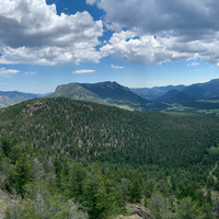 Pine Trees on the Mountains landscape at Rocky Mountains National Park