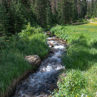 Rushing Spring down the Mountain