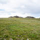 Three clumps on the hill of Rock Cut