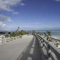 Going onto the Overseas Bridge with Sky in Bahia Honda State Park