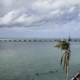 Palm Tree and beautiful overseas highway landscape