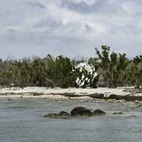 Trailer blown into trees by Hurricane