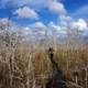 Big Cypress National Reserve on Robert's Lake Trail