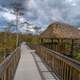 Boardwalk and hut at Big Cypress National Preserve