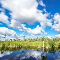 Clouds movement above the swamp at Big Cypress