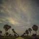 Cloudy stars at night at Big Cypress National Preserve