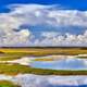 Panoramic Swamp landscape with sky and clouds