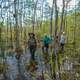 People walking across the swamp in Big Cypress