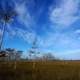 Sky and Clouds over the swamp at Big Cypress National Reserve, Florida