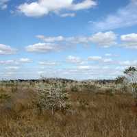 Sky over the landscape of the Reserve