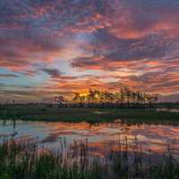 Sunset and Dusk over Big Cypress National Preserve