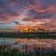 Sunset and Dusk over Big Cypress National Preserve