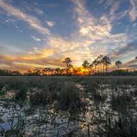 Sunset at Birdon Road landscape