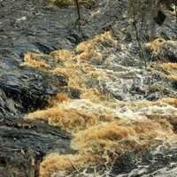 Suwanee River Rapids at Big Shaols State Park, Florida