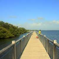 Boardwalk at Biscayne National Park, Florida