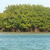 Biscayne National Park  Photos