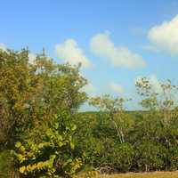 Road View at Biscayne National Park, Florida