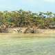 Sandbar island at Biscayne National Park, Florida