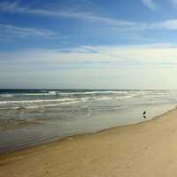 Beach shoreline at Daytona Beach, Florida