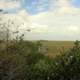 Across the Marsh at Everglades National  Park, Florida