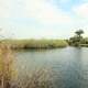 Anhingas Path at Everglades National Park, Florida