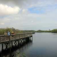 Boardwalk on nature trail at Everglades National Park, Florida