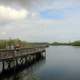 Boardwalk on nature trail at Everglades National Park, Florida