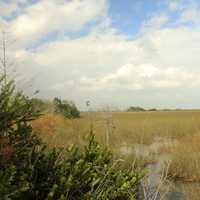 Glades View at Everglades National Park, Florida