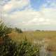 Glades View at Everglades National Park, Florida