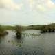 Lake in the Everglades in Everglades National Park, Florida