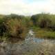 Pond with wildlife at Everglades National Park, Florida