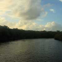 River Channel at Everglades National Park, Florida