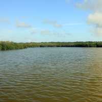 A lake in the Glades at Everglades National Park, Florida