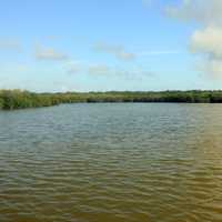 A lake in the Glades at Everglades National Park, Florida