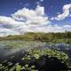 Wetlands and sky on the Anhinga Trail