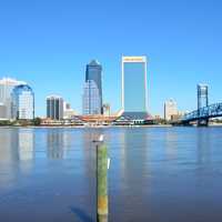 Skyline of Jacksonville, Florida