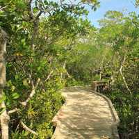 Boardwalk at Key Largo, Florida