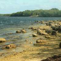 Rocky shoreline at Key Largo, Florida