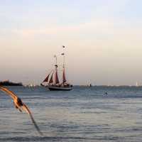 Sailing Ship at Key West, Florida