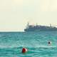 Boat liner on the ocean in Miami, Florida