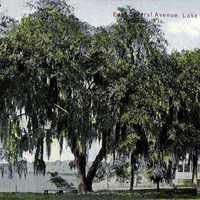 Lake Eola in 1911 in Orlando, Florida